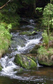 Fastenurlaub - Immer wieder beruhigend und entspannend oder aber erfrischend und inspirierend in Mutter Natur. Idyllische Landschaft, vitalisierender Wald, eine saftige Wiese, all das tut uns gut.